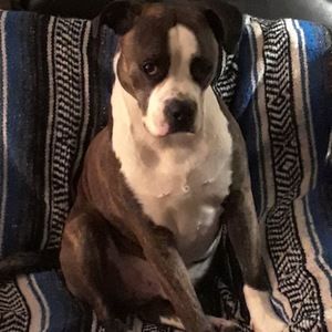 Meet your Posher, Shawna